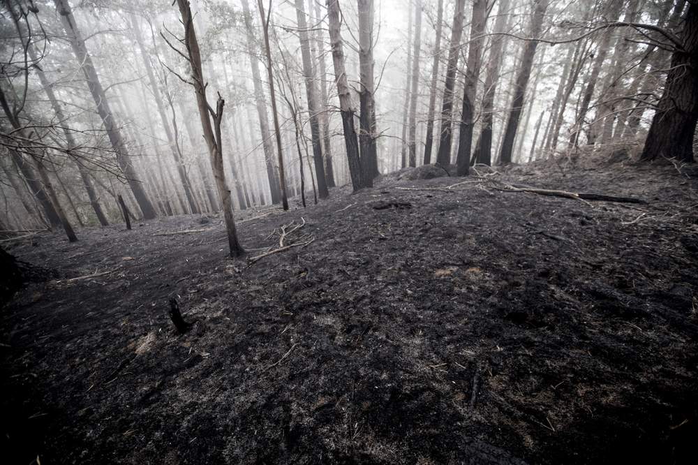 The ground remained hot, but the fire was out.
PHOTO: BEAVAN READ/FAIRFAX NZ The ground remained hot, but the fire was out.
PHOTO: BEAVAN READ/FAIRFAX NZ