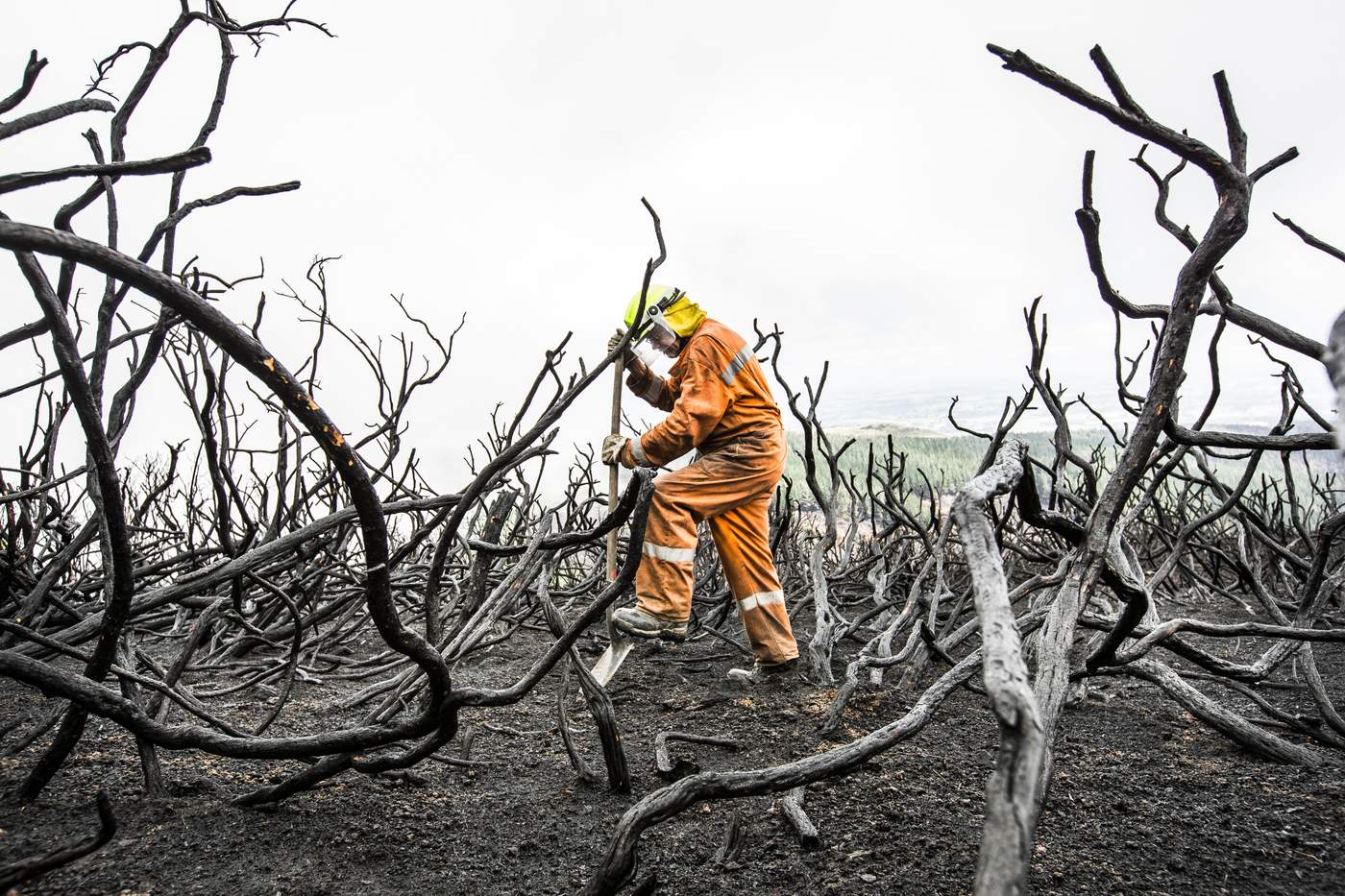 PHOTO: BRADEN FASTIER\/FAIRFAX NZ