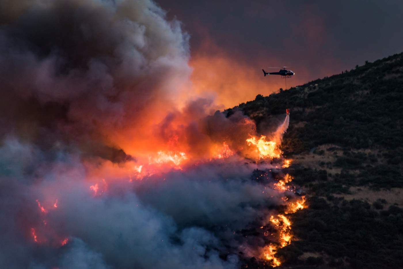 A lone helicopter fights the fires at dusk on Monday. PHOTO: MARK HANNAH PHOTOGRAPHY