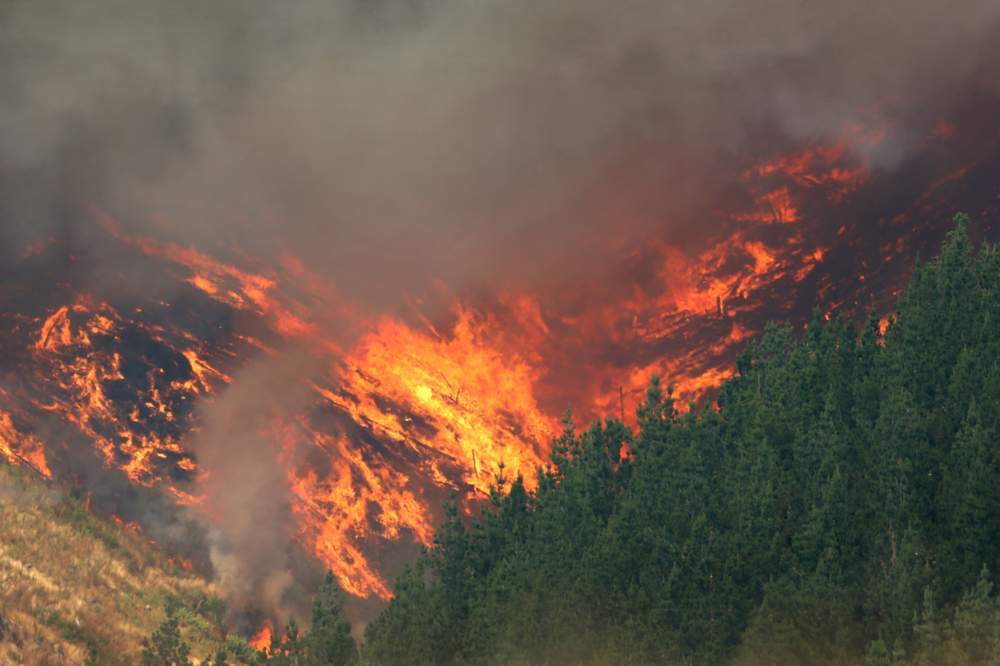 The fire funneled its way downhill, lapping up dry vegetation.
PHOTO: JOSEPH JOHNSON/FAIRFAX NZ The fire funneled its way downhill, lapping up dry vegetation.
PHOTO: JOSEPH JOHNSON/FAIRFAX NZ